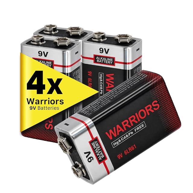 Piles bloc alcalines Warriors 9 volts dans leur lot de quatre